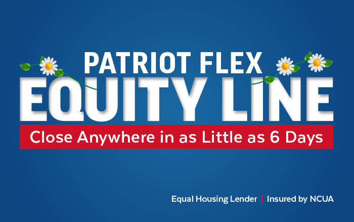 flex equity - spring