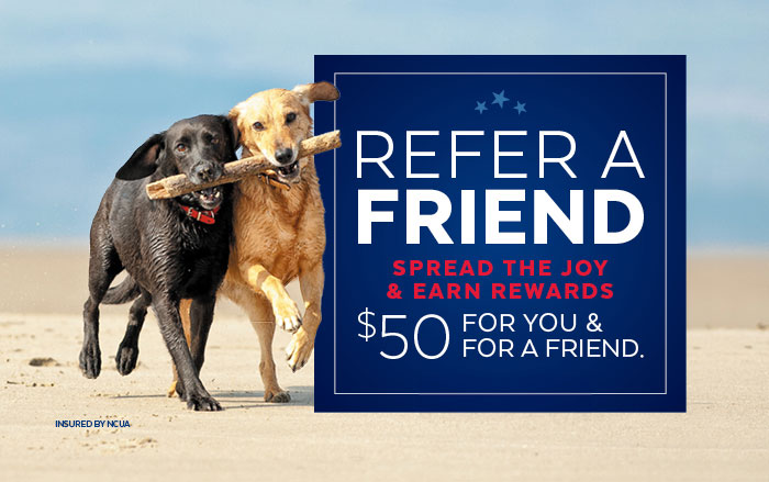 Refer a friend web promo