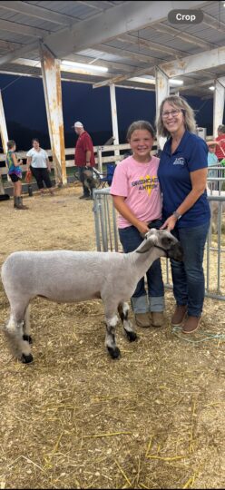 renee and sheep